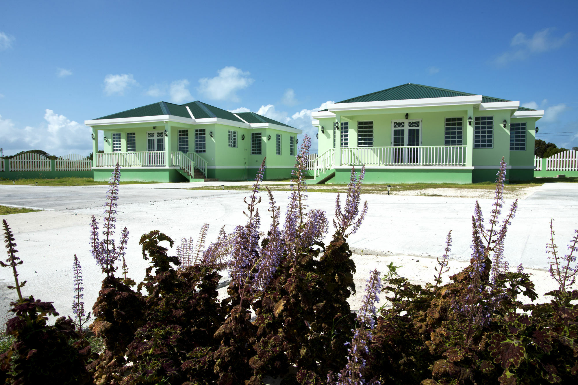 Sea Grape Villas The Settlement Exteriör bild
