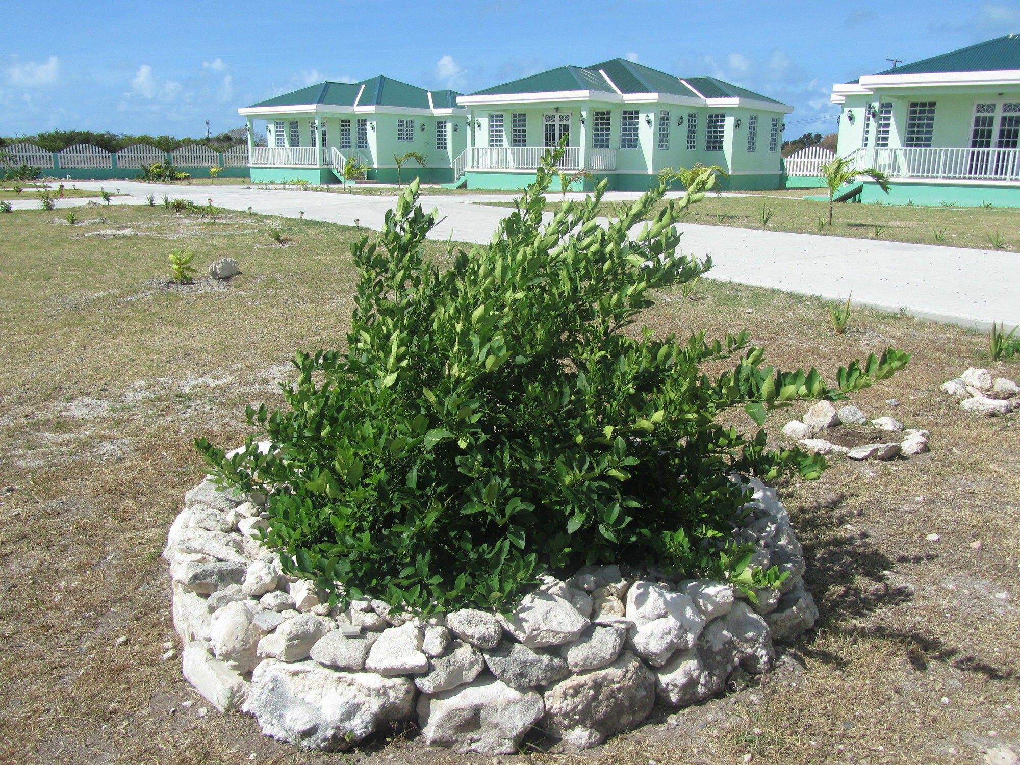 Sea Grape Villas The Settlement Exteriör bild